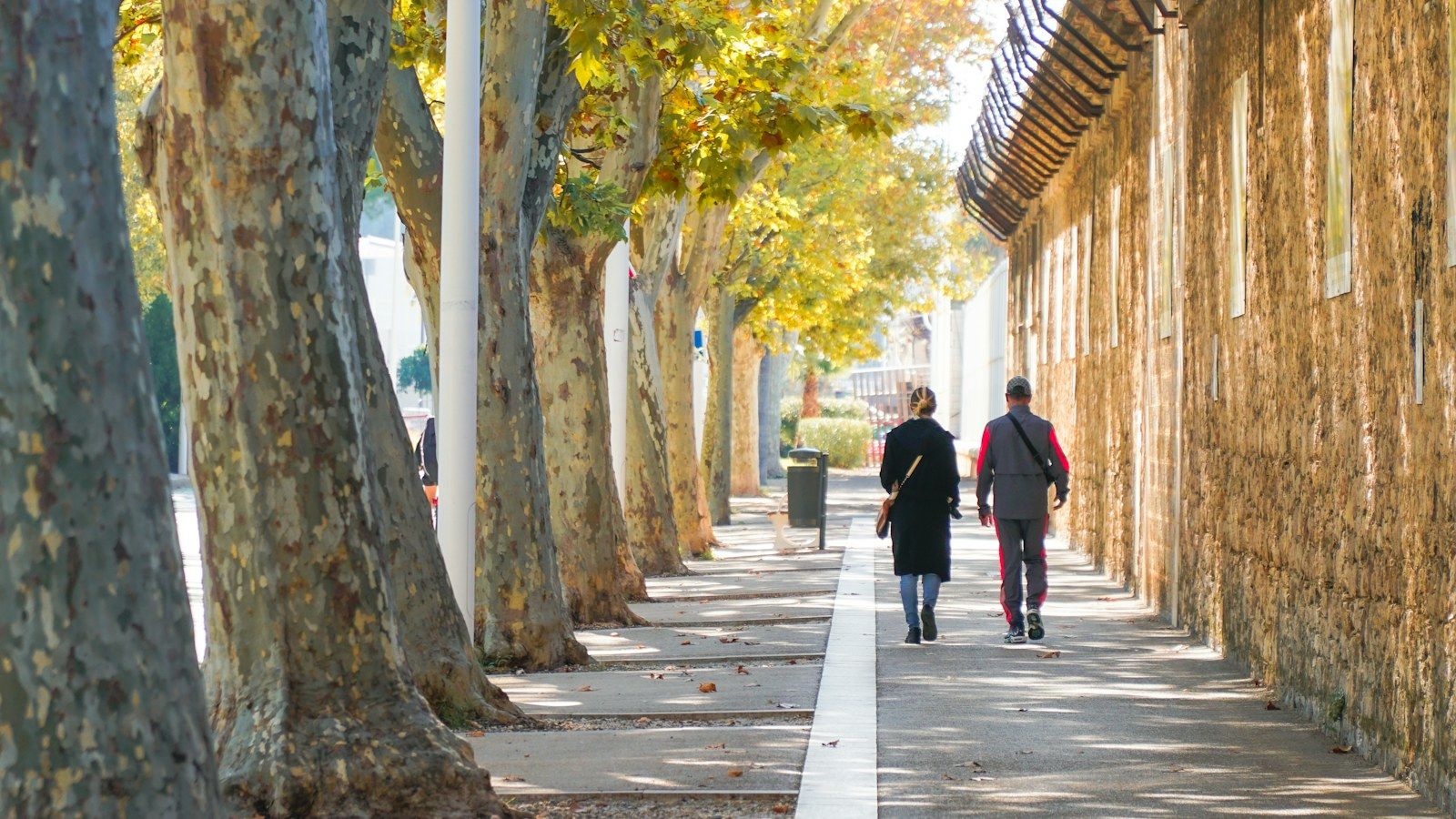 Dos personas caminan juntas por una calle arbolada de la ciudad, a la luz del otoño.